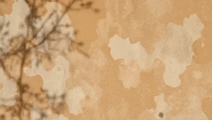 Vernici naturali, come orientarsi tra leganti, pigmenti e supporti